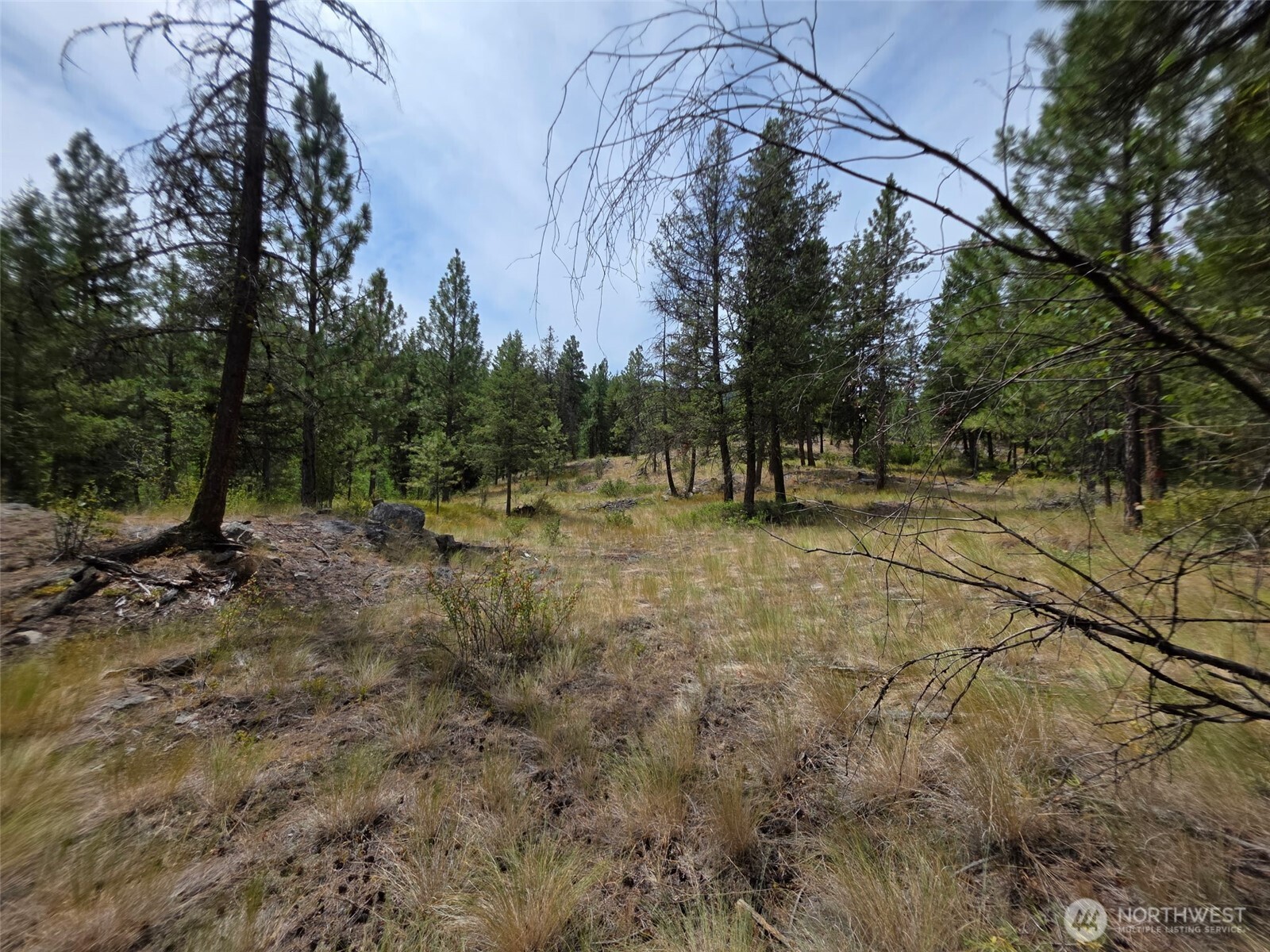 25 Outback Road , Oroville, WA 98844