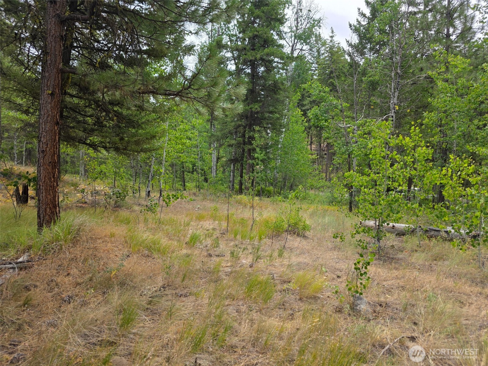 25 Outback Road , Oroville, WA 98844