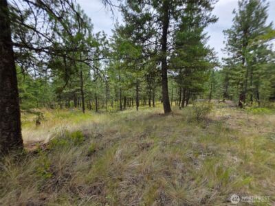 25 Outback Road , Oroville, WA 98844 - Photo 5