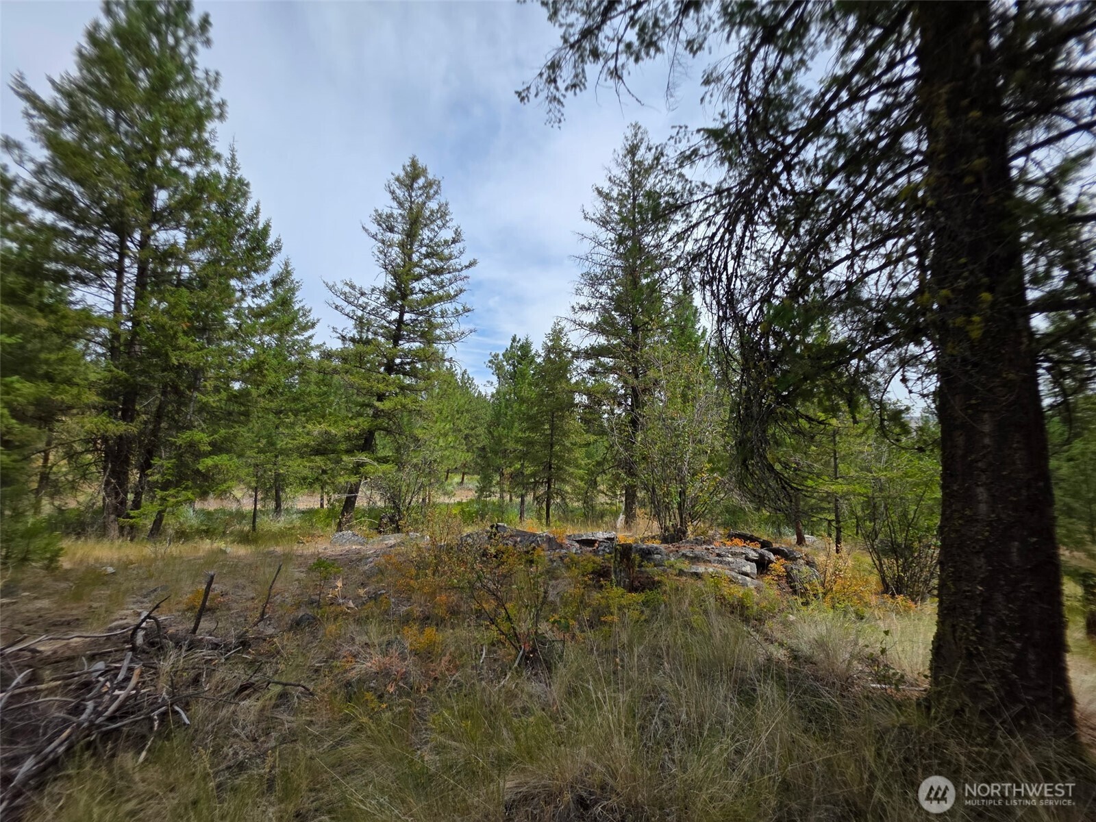 25 Outback Road , Oroville, WA 98844