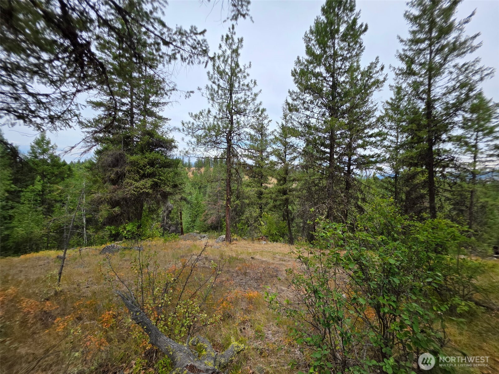 25 Outback Road , Oroville, WA 98844