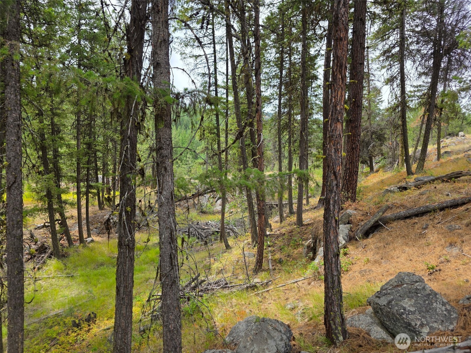 25 Outback Road , Oroville, WA 98844