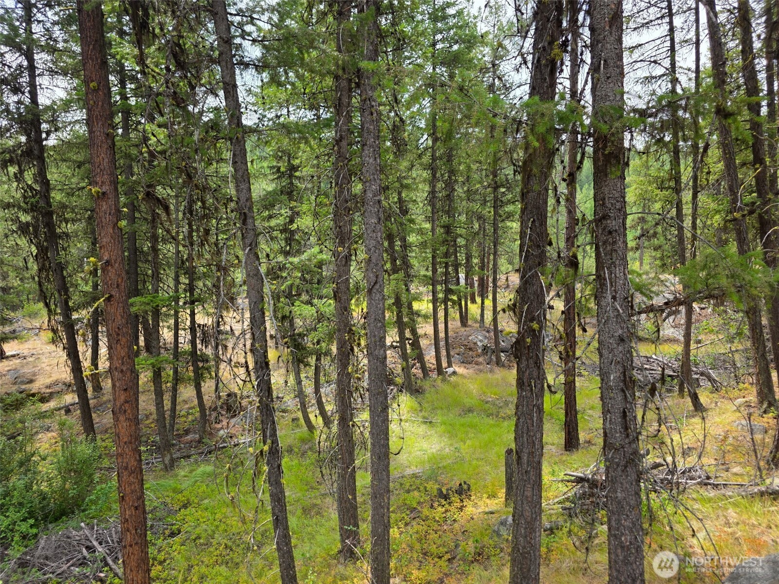 25 Outback Road , Oroville, WA 98844