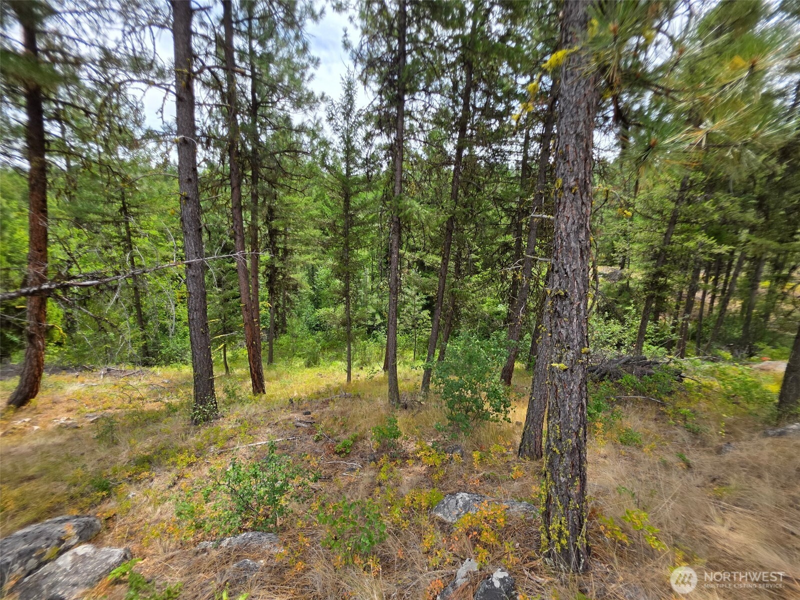 25 Outback Road , Oroville, WA 98844