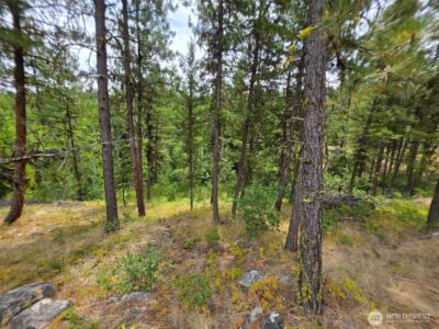 25 Outback Road , Oroville, WA 98844 - Photo 10