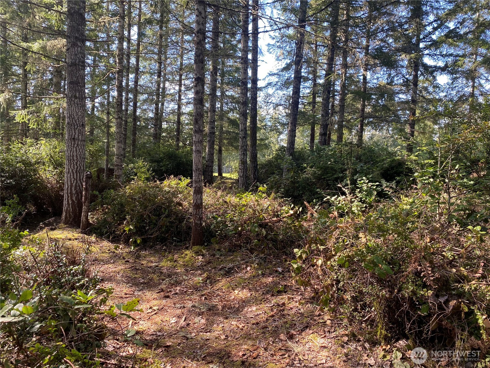 200 E Soderberg Road , Allyn, WA 98524