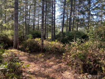200 E Soderberg Road , Allyn, WA 98524 - Photo 11