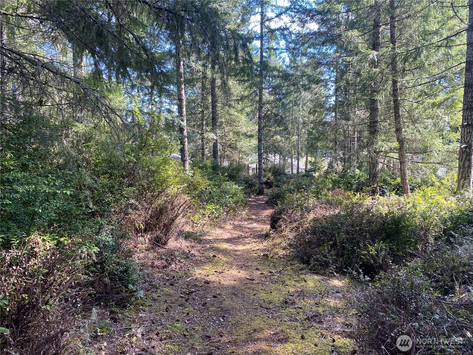200 E Soderberg Road , Allyn, WA 98524