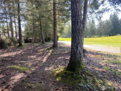 200 E Soderberg Road , Allyn, WA 98524 - Photo 7