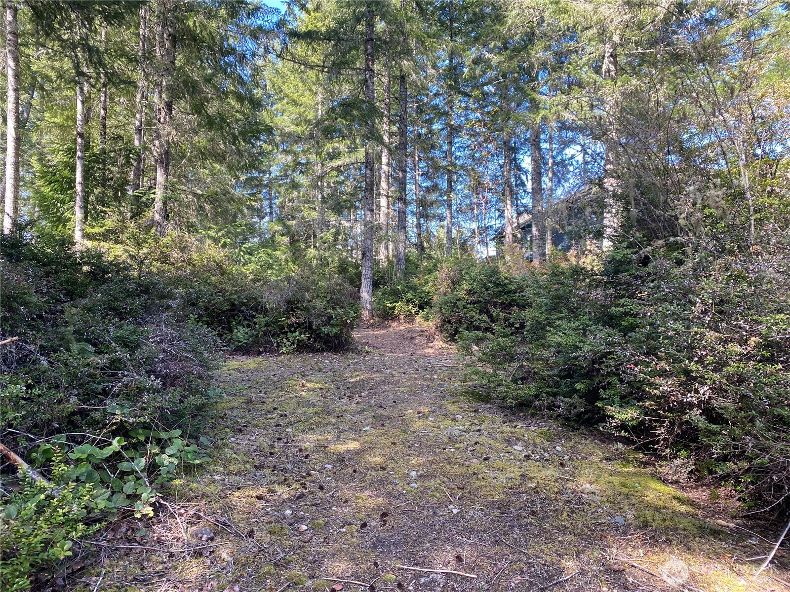 200 E Soderberg Road , Allyn, WA 98524