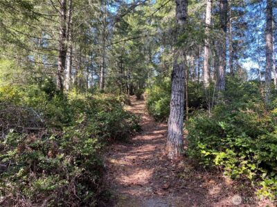 200 E Soderberg Road , Allyn, WA 98524 - Photo 10