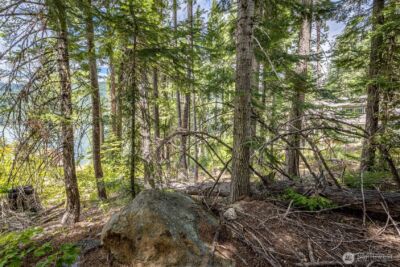 22660 Alpine Drive , Leavenworth, WA 98826 - Photo 4