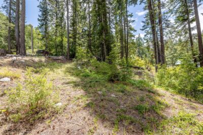 22660 Alpine Drive , Leavenworth, WA 98826 - Photo 5
