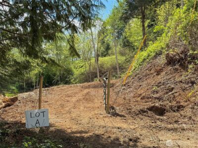 143 N Shar Lane , Lilliwaup, WA 98555 - Photo 16