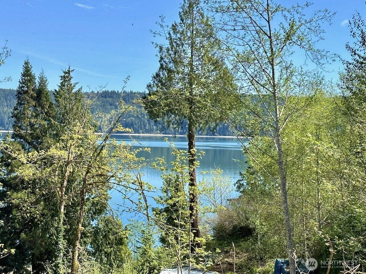 143 N Shar Lane , Lilliwaup, WA 98555