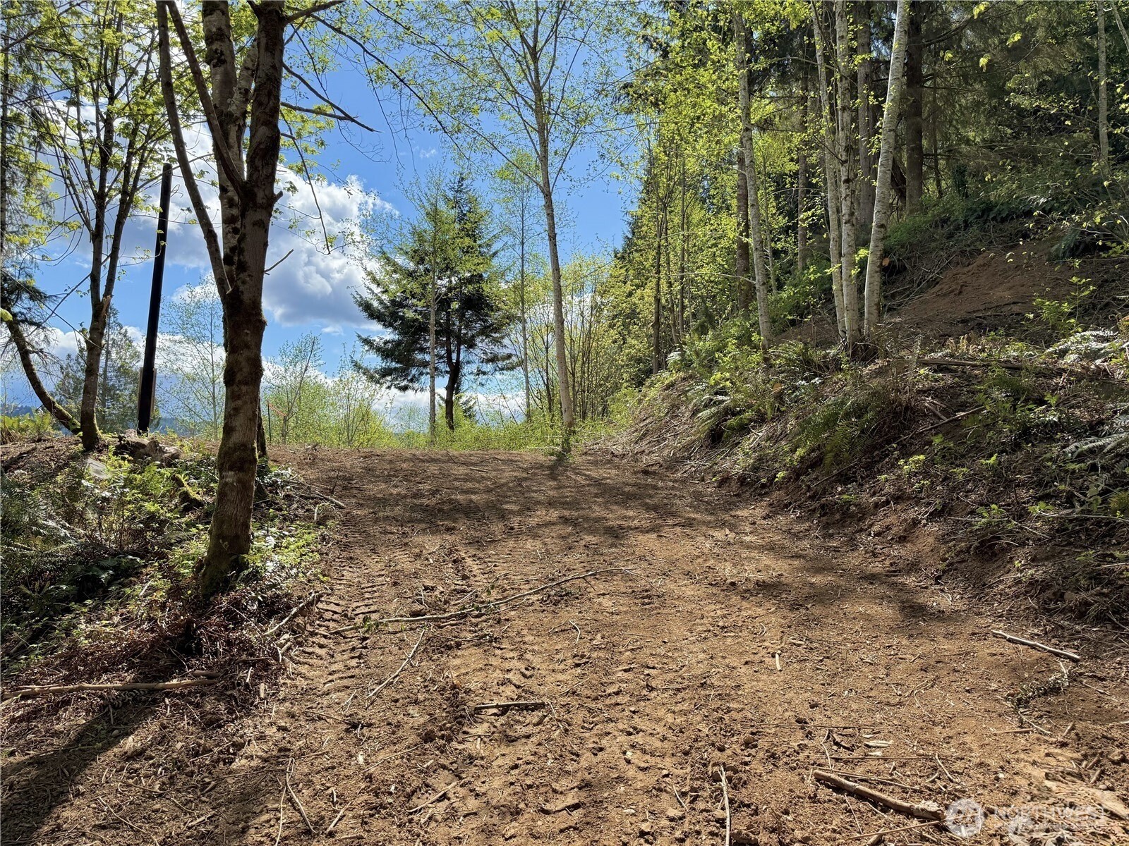 143 N Shar Lane , Lilliwaup, WA 98555