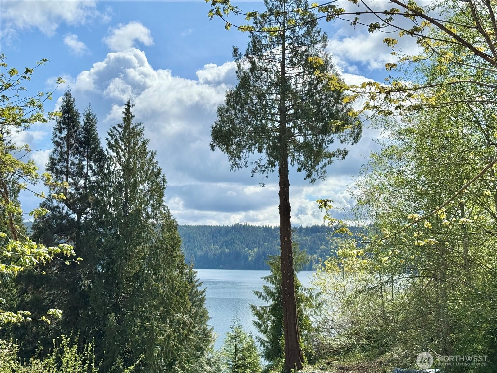 143 N Shar Lane , Lilliwaup, WA 98555