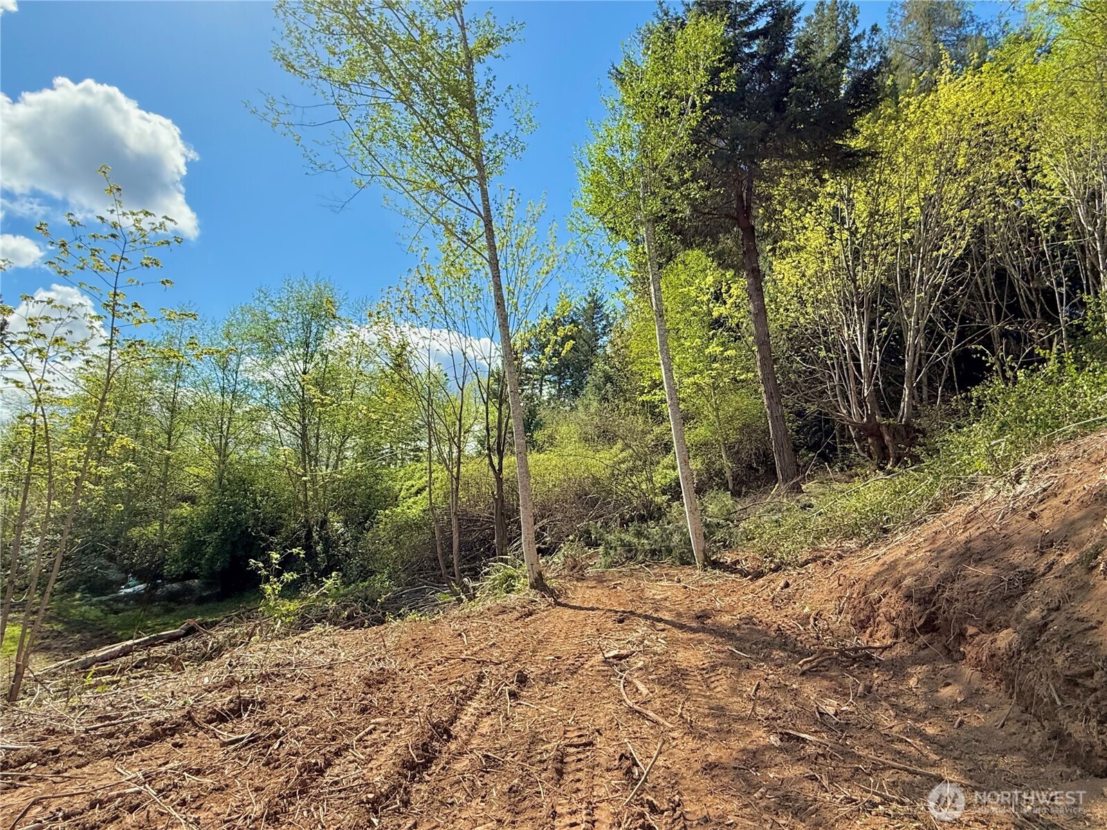 143 N Shar Lane , Lilliwaup, WA 98555