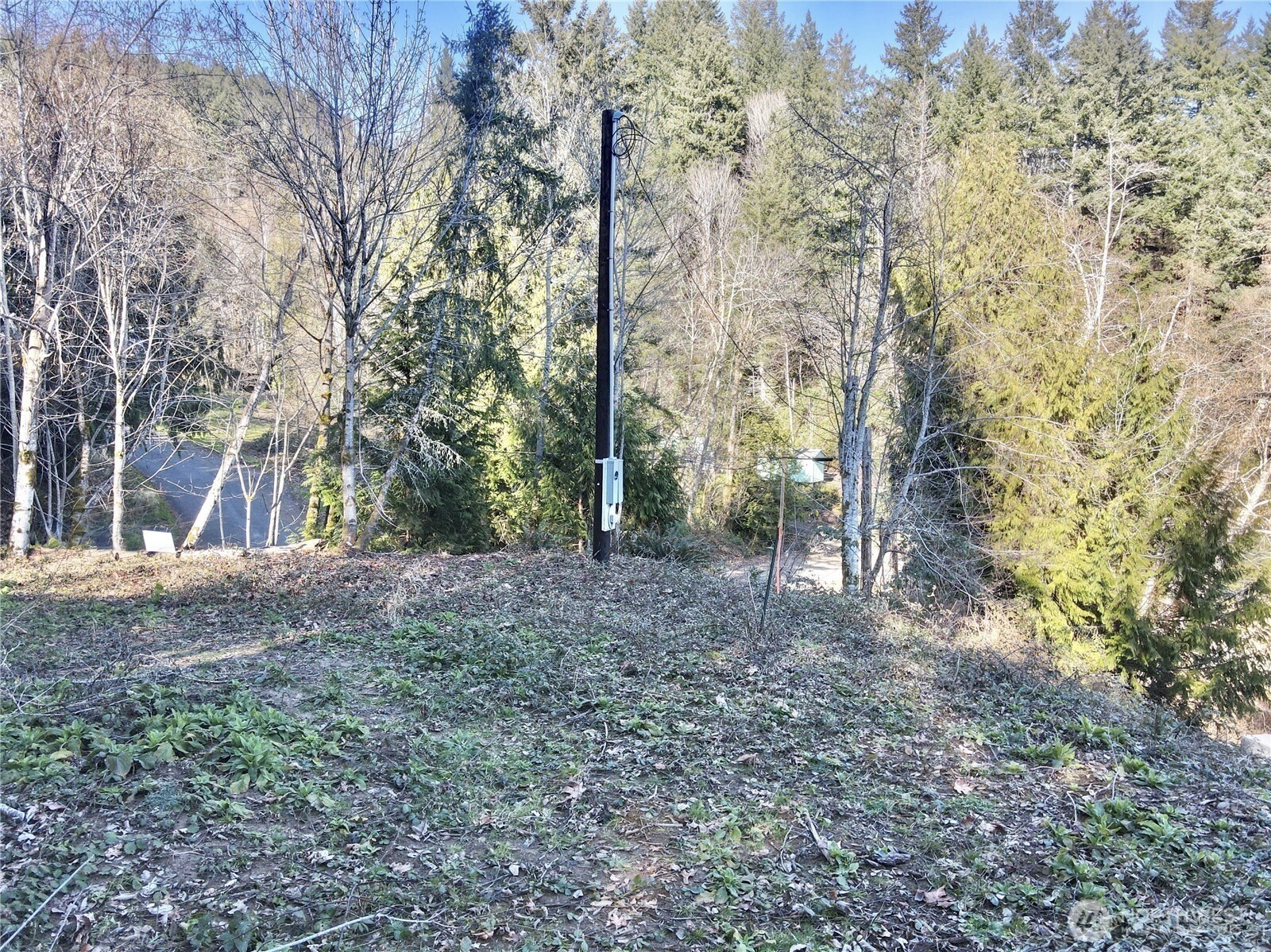 143 N Shar Lane , Lilliwaup, WA 98555