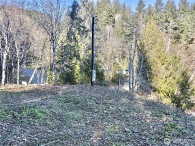 143 N Shar Lane , Lilliwaup, WA 98555 - Photo 25