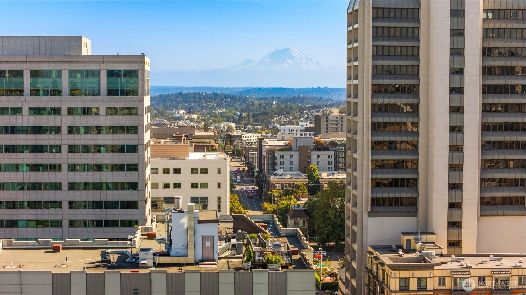 1105 Spring St #211, Seattle, WA 98104