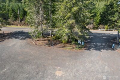 2810 E Spencer Lake Road , Shelton, WA 98584 - Photo 39