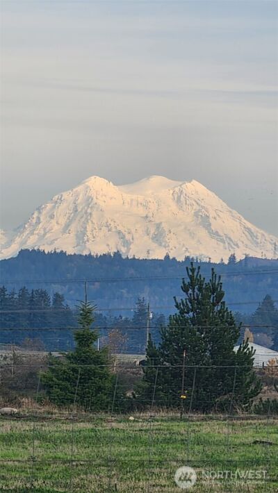 16826 Sheldon Lane SW, Rochester, WA 98579 - Photo 3