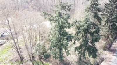 0 121 Street E, Tacoma, WA 98445 - Photo 11