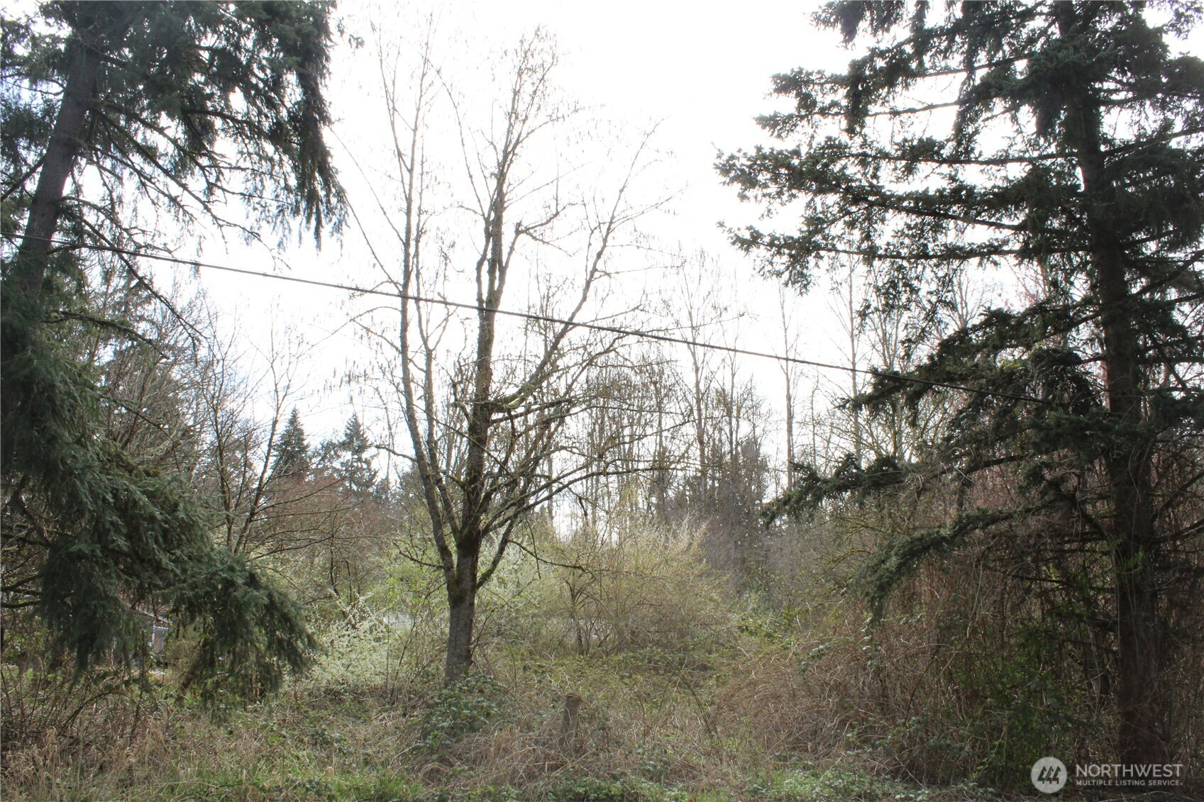 0 121 Street E, Tacoma, WA 98445