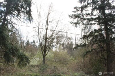 0 121 Street E, Tacoma, WA 98445 - Photo 3