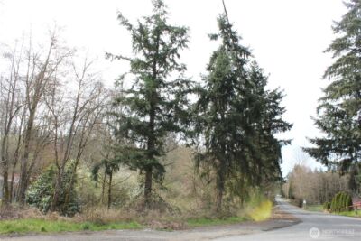 0 121 Street E, Tacoma, WA 98445 - Photo 4