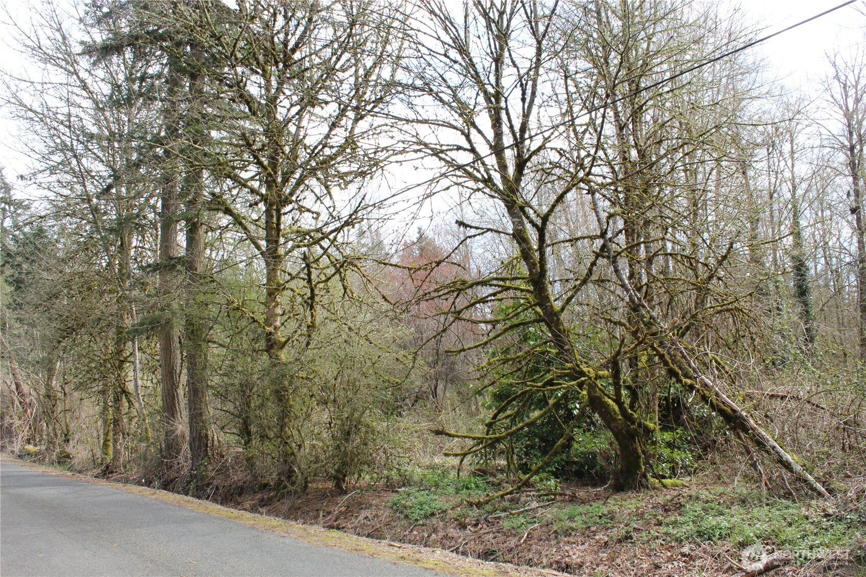 0 121 Street E, Tacoma, WA 98445