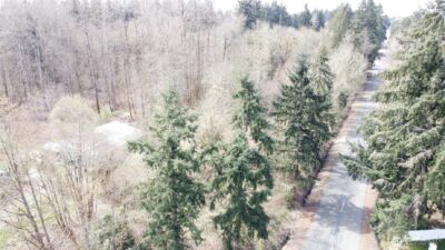 0 121 Street E, Tacoma, WA 98445 - Photo 8