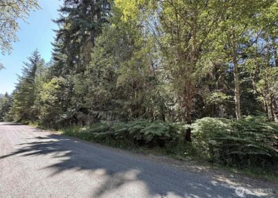121 N Bagley Creek Road , Port Angeles, WA 98362 - Photo 2