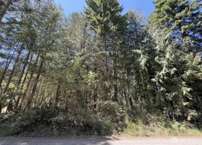 121 N Bagley Creek Road , Port Angeles, WA 98362 - Photo 3