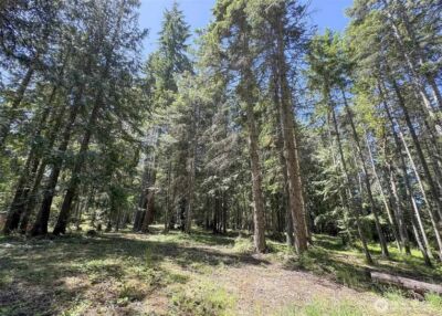 121 N Bagley Creek Road , Port Angeles, WA 98362 - Photo 4