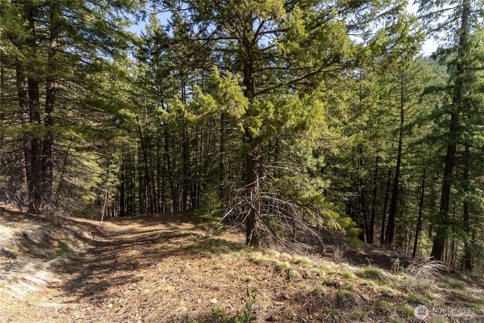 26 Smith Canyon Road , Carlton, WA 98814