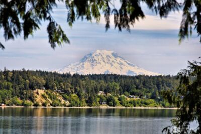 187 E Vineyard Crest Road , Grapeview, WA 98546 - Photo 2
