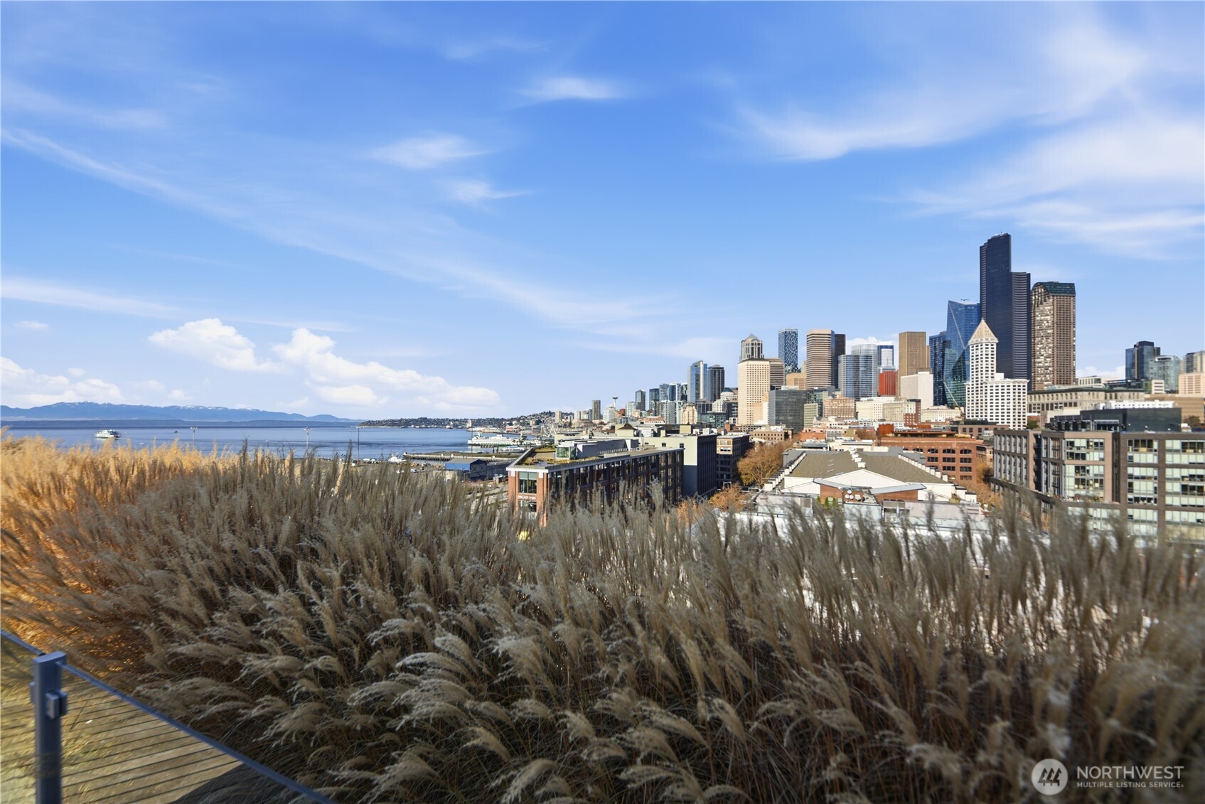 590 1st Avenue S #613, Seattle, WA 98104