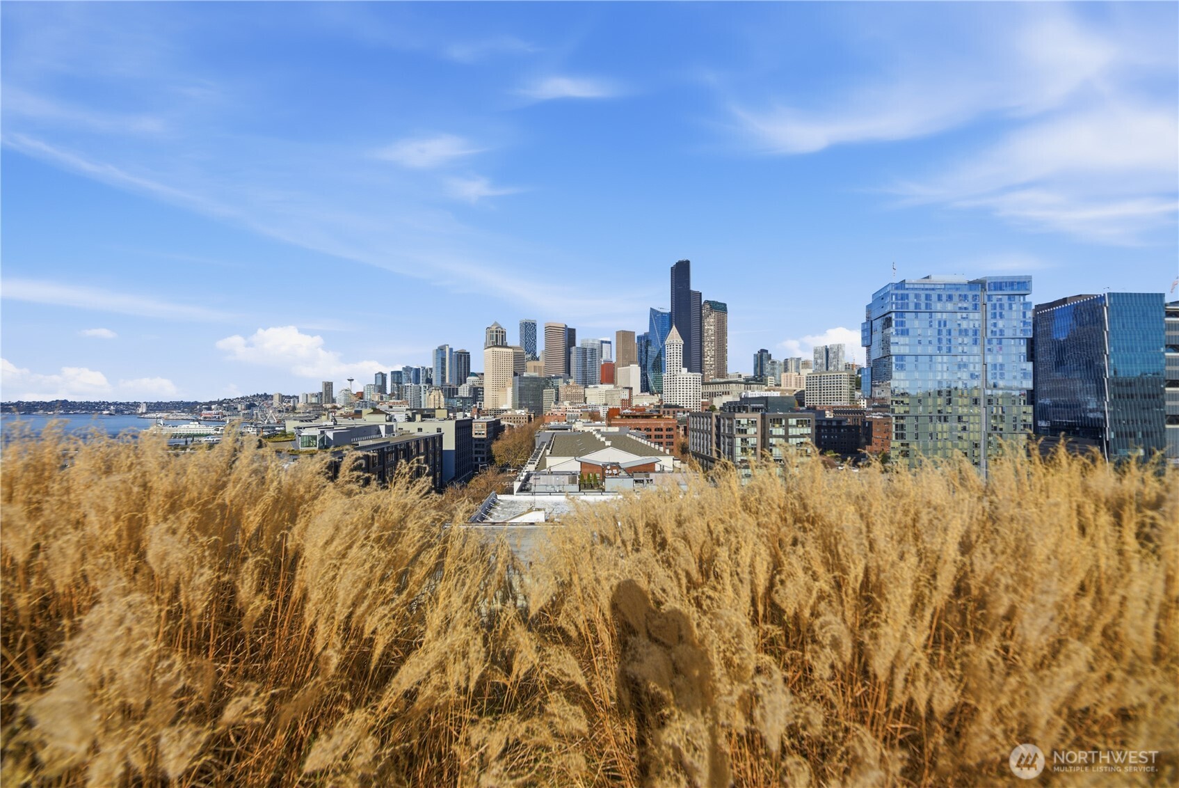 590 1st Avenue S #613, Seattle, WA 98104