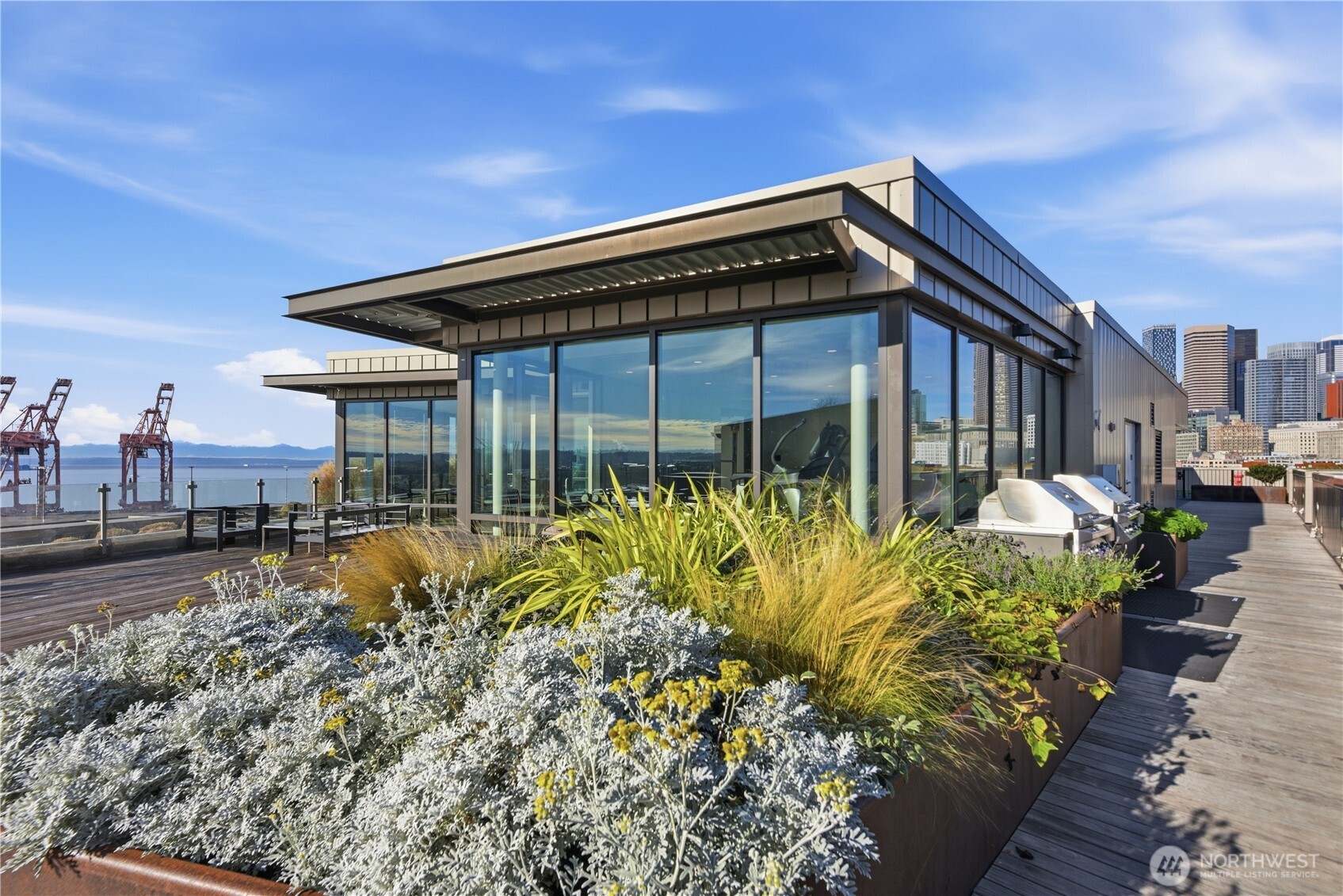 590 1st Avenue S #613, Seattle, WA 98104