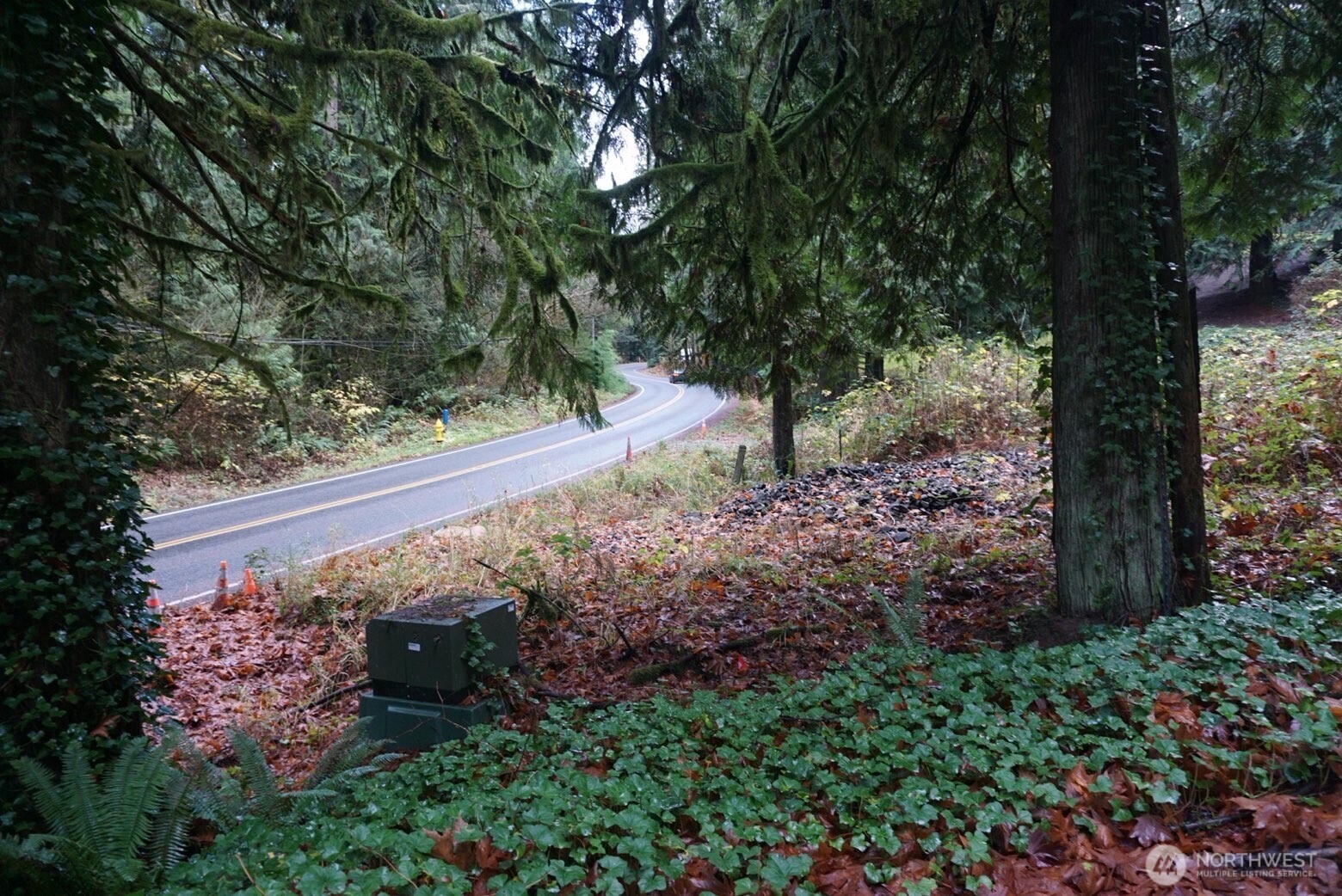 4703 Ames Lake Carnation Rd NE, Redmond, WA 98053