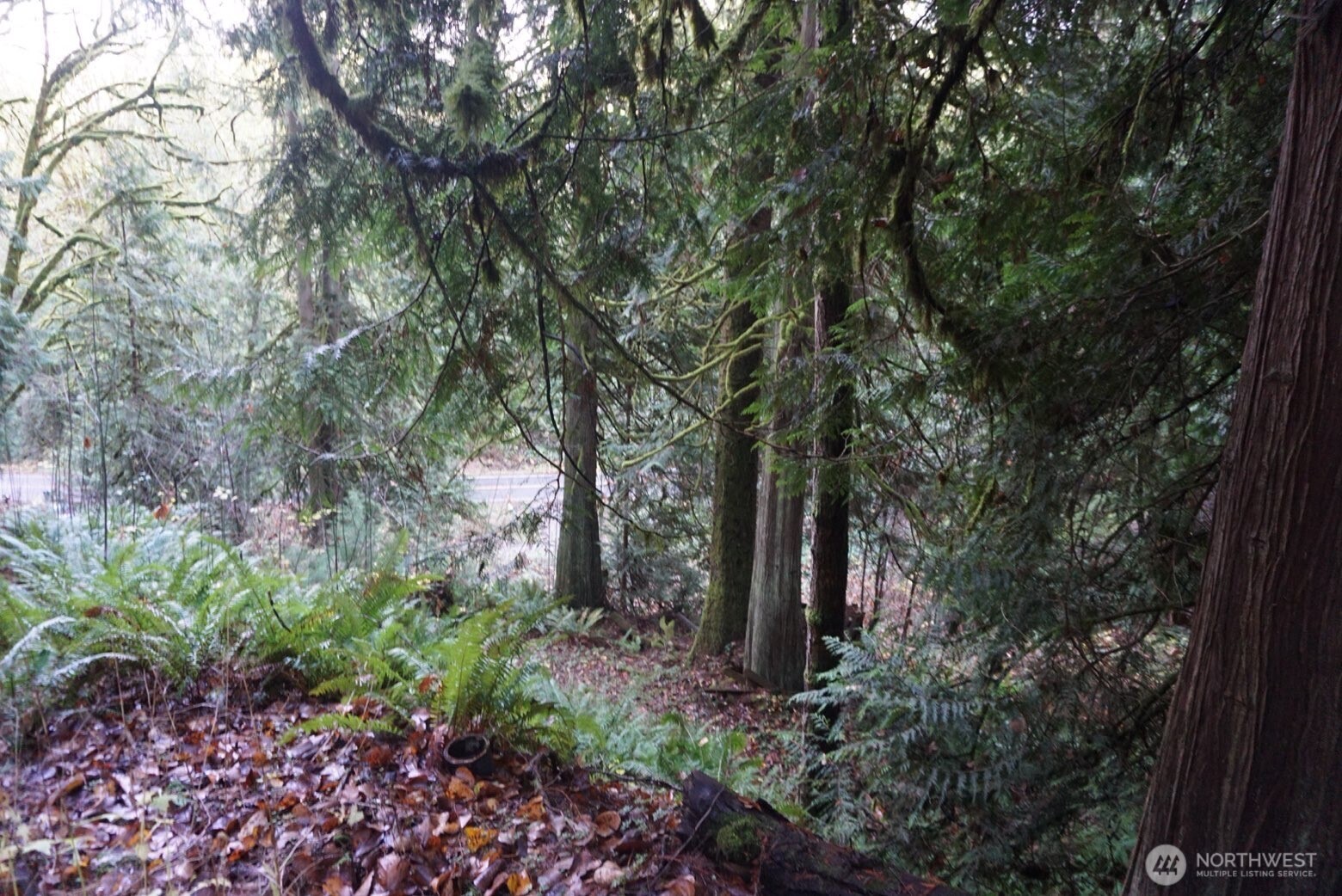 4703 Ames Lake Carnation Rd NE, Redmond, WA 98053