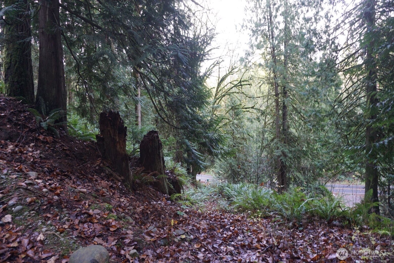 4703 Ames Lake Carnation Rd NE, Redmond, WA 98053