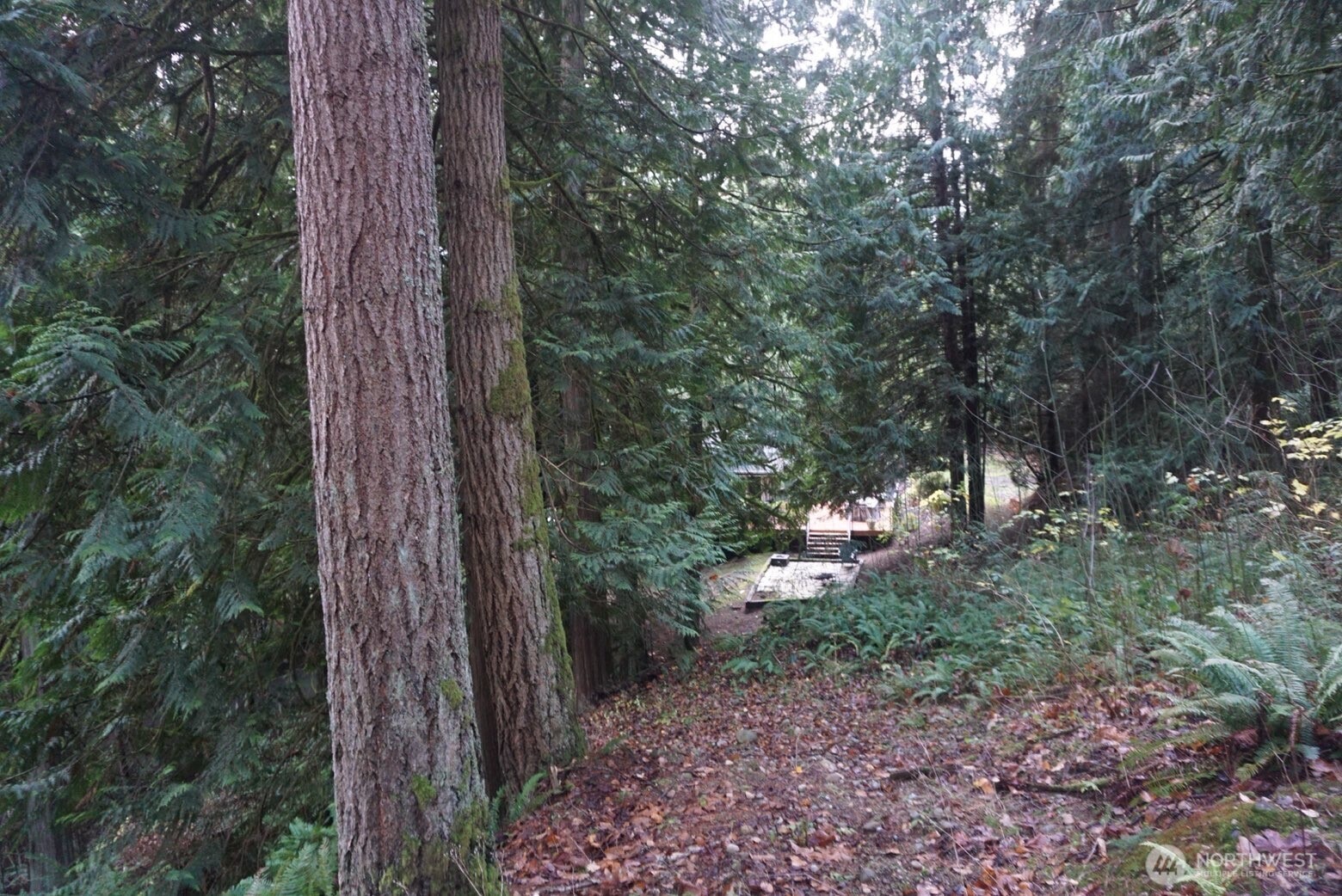 4703 Ames Lake Carnation Rd NE, Redmond, WA 98053