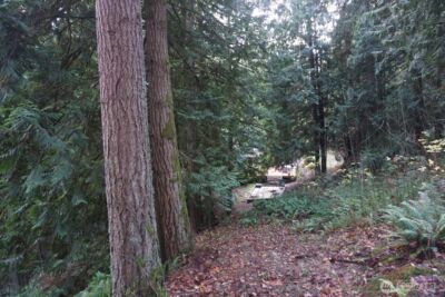 4703 Ames Lake Carnation Rd NE, Redmond, WA 98053 - Photo 14