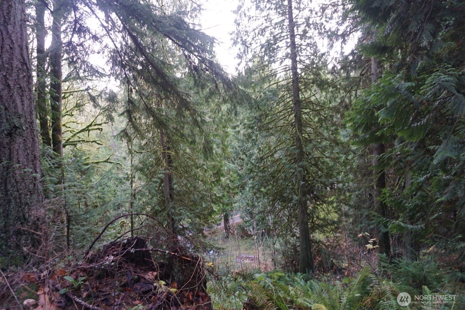 4703 Ames Lake Carnation Rd NE, Redmond, WA 98053