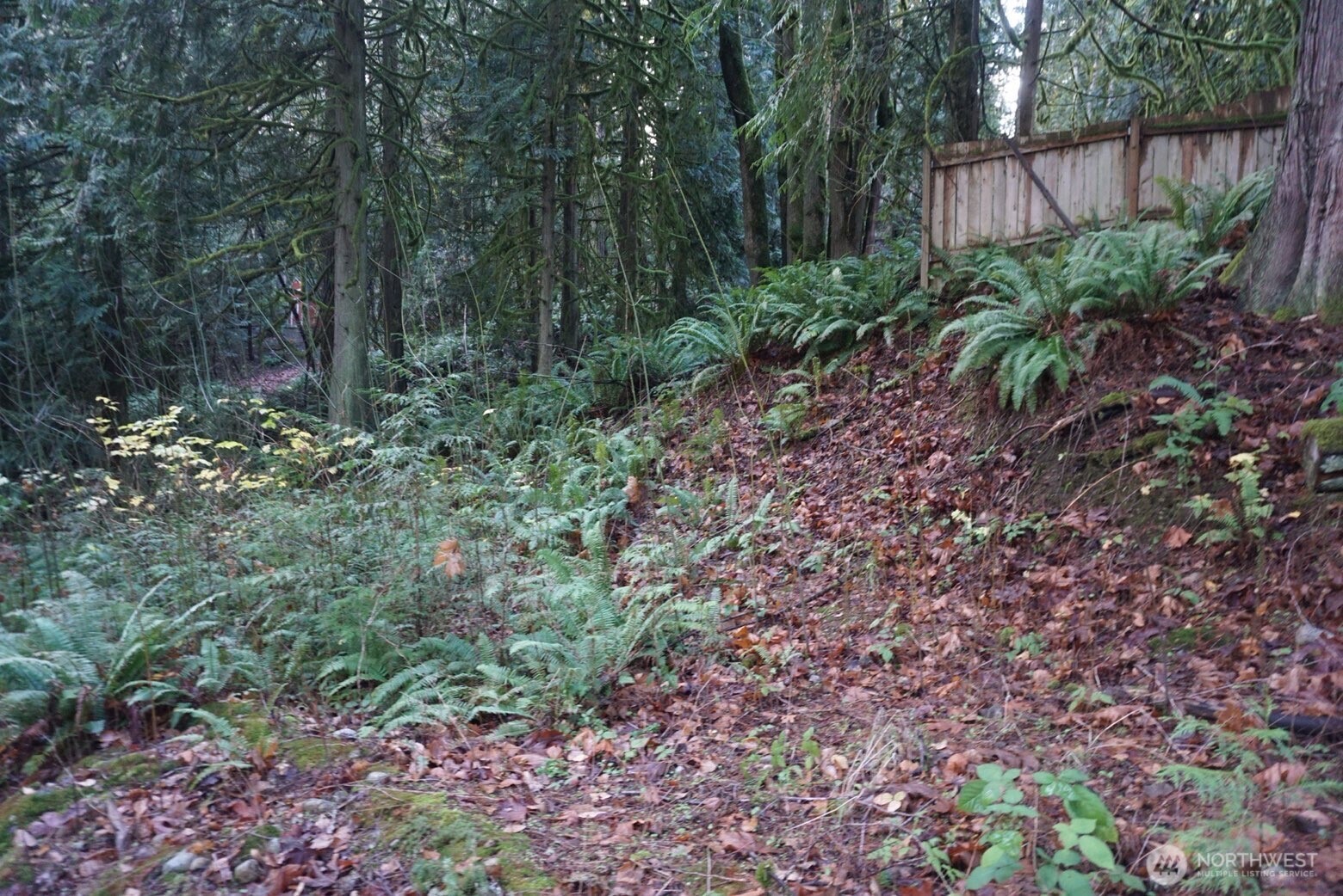 4703 Ames Lake Carnation Rd NE, Redmond, WA 98053