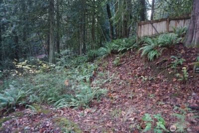 4703 Ames Lake Carnation Rd NE, Redmond, WA 98053 - Photo 16