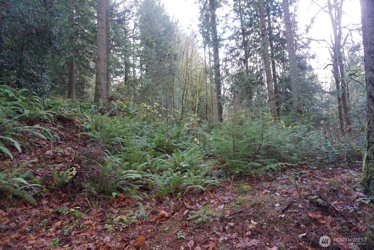 4703 Ames Lake Carnation Rd NE, Redmond, WA 98053